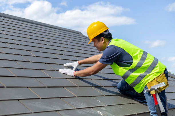 Best Roof Insulation Installation  in Maple Park, IL
